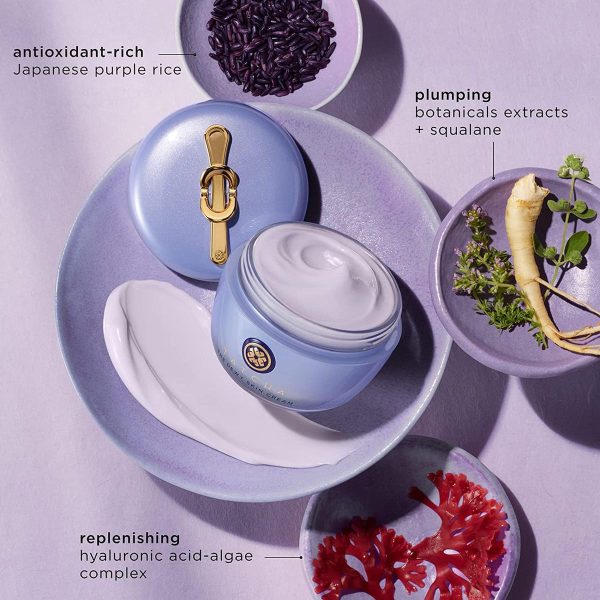 Tatcha - The Dewy Skin Cream 50ml (Parallel Import) - Image 2